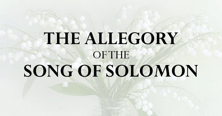 allegory of the song of solomon