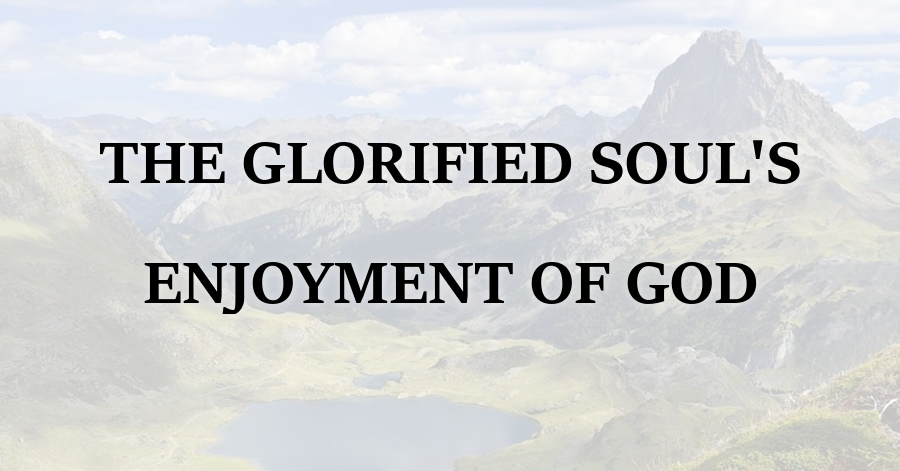 Glorified Souls Enjoyment of God