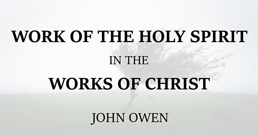 Work of the Holy Spirit in the Works of Christ